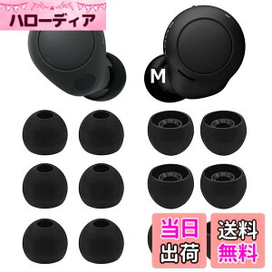 �y���������zA-Pcas �C���[�s�[�X Sony�p�C���[�s�[�X WF-C700n�p�C���[�s�[�X WF-C500 �p WF-1000XM4�p WF-1000XM3�p ���K �t�B�b�g�� ���������� ���K ���􂢉\ �V���R���� �y�u���b�N M�T�C�Y 6�y�A�z(