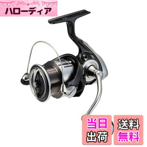 �y���������z�_�C��(DAIWA) �V���A�W�M���O �X�s�j���O���[�� 23���O�U(LEXA) LT4000-CXH