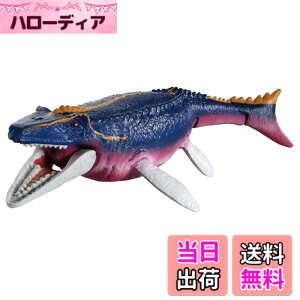 ���i�摜