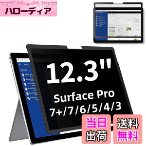 �y���������zSurface Pro 7+/Surface Pro 7 / 6 / 5 / 4 12.3�C���` �p�� �S���� �v���C�o�V�[�t�B���^�[ �`�����h�~�t�B���^�[ �u���[���C�g�J�b�g �p�\�R�� PC ���j�^�[ �t���ی�t�B���� ���˖h�~ ���E