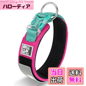 �y���������zcocomall���{�����X 2023�ŐV����� ���̎�� ���^�A���^�A��^���p �y�b�g�p�i 3M���ˍޗ� �i�C������ �ʋC�� �e�͐� �\�t�g ���߉\ ������� ���p�P�� (M, �u���[���s���N)