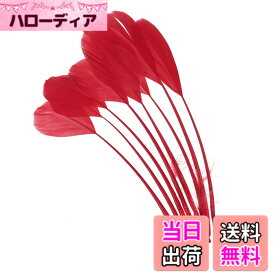 【送料無料】PATIKIL 15-20cm ガチョウの毛 50個入り バルク天然羽毛 工芸 カーニバル 手作り 衣装 ウエディング パーティー スタイル4 レッド