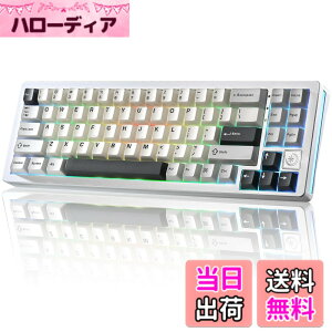 �y���������zYUNZII AL71 ���J�j�J���L�[�{�[�h 68% �R���p�N�g �t���A���~CNC���H �K�X�P�b�g�\�� [Bluetooth/2.4G/USB-C �O���[�h�ڑ�] �z�b�g�X���b�v�Ή� NKRO RGB�o�b�N���C�g Win/Mac���Ή� �Z�K�F��