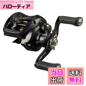 �y���������z�_�C��(DAIWA) �x�C�g���[�� 24TATULA TW 100L