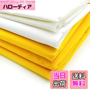 �y���������zINTBUYING �X�N���[�����b�V�� �i�C�������b�V�� �V���N�X�N���[�����b�V�� 1.27m��x3m �V���N�X�N���[������p ���ŗp (120Mesh(48T)White)