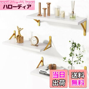 ウォールシェルフ ゴールド」の人気商品一覧・価格比較 - 価格.com