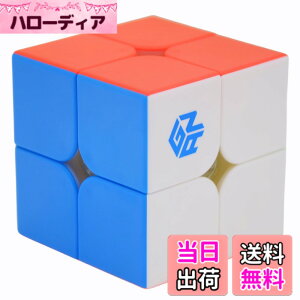 �y���������zBucubke GAN 251 M Pro 2x2 �X�e�b�J�[���X���C�X�s�[�h�}�W�b�N�L���[�u GAN251 Pro 2x2x2 ���Z�p63�}�O�l�b�g �p�Y���L���[�u��������i������������F�j