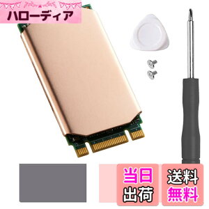 �y���������zHaojiaho M.2 2242 NVME SSD�p �q�[�g�V���N ���� �M�p�b�h�t�� Nvme2242 �\���b�h �X�e�[�g �h���C�u ���W�G�[�^�[ �C���L�b�g