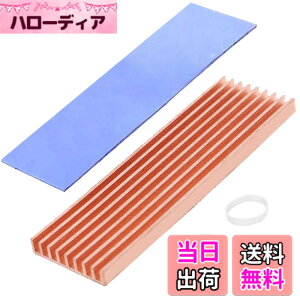 �y���������zHaojiaho �����q�[�g�V���N 70mmx21mmx6mm �M�\���΍� M.2 SSD PS5 ������ �m�[�gPC�p �q�[�g�V���N