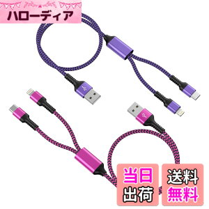 �y���������z2�C��1 �[�d�P�[�u�� Lightning&USB-C �u2�{�g/1.2M�v �ő�5.4A�}���[�d 2�� �}���`�P�[�u�� Haoano 2in1 �[�d�R�[�h Type-C USB�P�[�u�� 2�䓯�����d�\ iPhone 17 Pro Max/16/1514/13/12/SE/iPad Air/Mini/Ga
