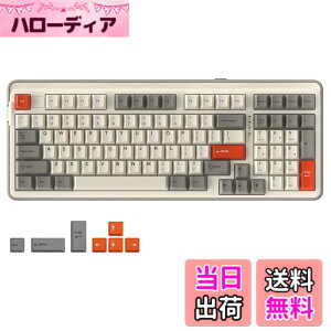 �y���������zDAREU EK98PRO ���J�j�J���L�[�{�[�h ���� �e���L�[�t�� �Q�[�~���O�L�[�{�[�h 2.4G���C�����X/Bluetooth/�L��USB�ڑ��\ 96%�p��z�� �K�X�P�b�g�}�E���g RGB �z�b�g�X���b�v�Ή� DREAM HI