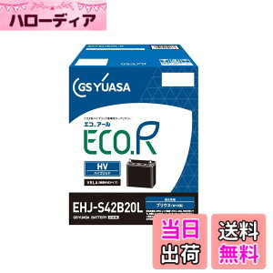�y���������zGS���A�T (�W�[�G�X���A�T) EHJ S42B20L ECO.R HV �g���^�n�n�C�u���b�g��p�Ԑ�p ��@�p�o�b�e���[ GS YUASA 2024�N���f��