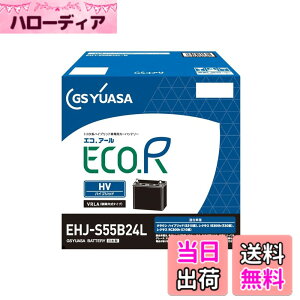 �y���������zGS���A�T (�W�[�G�X���A�T) EHJ S55B24L ECO.R HV �g���^�n�n�C�u���b�g��p�Ԑ�p ��@�p�o�b�e���[ GS YUASA 2024�N���f��