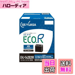 �y���������zGS���A�T (�W�[�G�X���A�T) EHJ S42B20R ECO.R HV �g���^�n�n�C�u���b�g��p�Ԑ�p ��@�p�o�b�e���[ GS YUASA 2024�N���f��