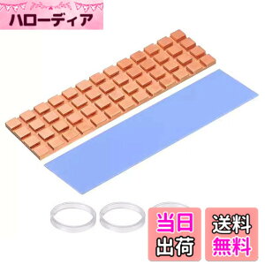 �y���������zDFsucces M.2 SSD �q�[�g�V���N �� 1.5mm ���^ �����M���\ 2280 M2 SSD PS5 �M�`���V�[�g ��p���W�G�[�^�[�t�B�� �Œ�p�V���R���S���Z�b�g