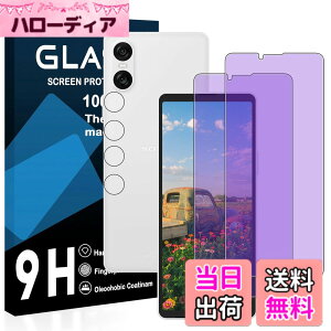 �y���������z�y2���u���[���C�g�J�b�g+2�������Y�t�B�����z�Ή� Xperia 10 vi �K���X�t�B���� ���Y���ɎqAGC�f�� SO-52E / SOG14 �ی�t�B���� �y �ڂ̔��y�� �ڂɗD���� �u���[���C�g�J�b�g �d�x9