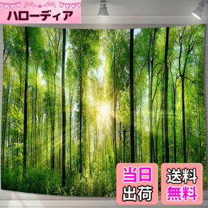 �y���������zU-SITU �^�y�X�g���[ �Ǌ|�� �Ǐ��� �X ���� �ъ� ���R�i�F �I�V���� �w�i ���@�\ �z�|�X�^�[ �C���e���A ���͋C�]���i�T�C�Y�F����75cm x ��100cm�j�J���[�FGT0107SA