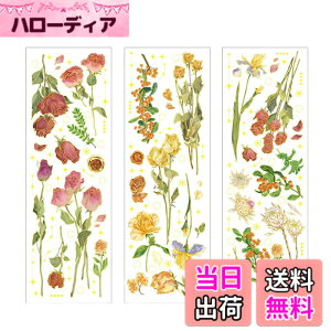 �y���������zEZ PEACH �t���[�N�V�[�� �R���[�W�� ���f�� �R���[�W���f�� �A���e�B�[�N ������� ���X �� ������ �V�[�� ���g�� ���킢�� ���̎q ������� �m�[�g �w�i�� �y�[�p�[ �蒠 �A���o