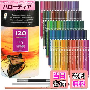 yzHIFORNY 125{̃J[yVZbgAl̓hGpA120F̃J[yVƃGNXgAA[eBXg̃\tgRAAlASҁAq̃h[COyVA[