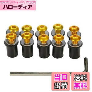 �y���������zLOYELEY �X�N���[���{���g 10�Z�b�g M5 5mm �{���g �E�F���i�b�g ���h�l�W �E�C���h�X�N���[�� �J�E����X�N���[���̌Œ� ���b�V���[�E�Z�p�����`�t�� �J���b�N �I�[�g�o�C �o�C