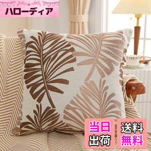 yzYunJeude NbVJo[ 45x45cm k 2Zbg Ȃƃl   t̕ WK[hD t@Xi[ CeA (45x45, R[q[)