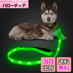 yzCandofly ˌ^ LED p[h - ÈłŌ錢p[h USB [dƖtp[vA4 tB[g̑ϋv̂ϐ_Ōp[hAybǧ̖̎Up ()