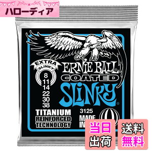 �y���������z�y���K�i�z ERNIE BALL �T�C�Y�F�G�N�X�g��(08-38)