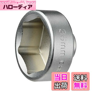�y���������z(STRAIGHT/�X�g���[�g) �h�������I�C���t�B���^�[�J�b�v�����`36mm 12-6003 �F�F�V���o�[