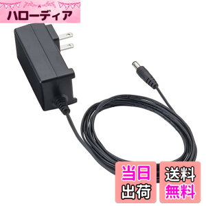 �y���������zZOOM �Y�[�� AC�A�_�v�^�[ DC9V�o�� AD-16