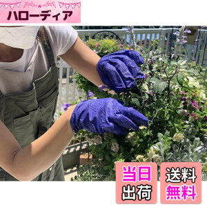 �y���������z[�z�[�P��] �j�g���� �_�Ɨp������� ���n���a SB-050 �u���[ M 50���� �F�F�u���[�A�T�C�Y�FFree Size