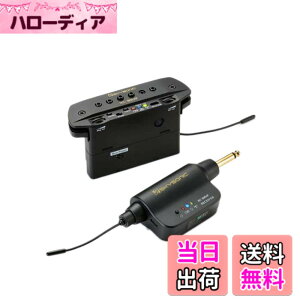 �y���������z�y���K�i�zSKYSONIC �X�J�C�\�j�b�N WL-800JP �A�R�[�X�e�B�b�N�M�^�[�p���C�����X�E�s�b�N�A�b�v