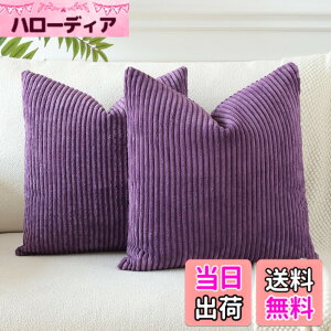 �y���������zOtostar �N�b�V�����J�o�[ xcm �k�� 2���Z�b�g �R�[���e�� �X�g���C�v ������� ���� ���_�� �t�@�X�i�[ �C���e���A �\�t�@�[�p�N�b�V�����J�o�[ �F�F�i�X���A�T�C�Y�F55cmx55cm(2 