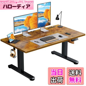 �y���������zErGear �d�� ���~���f�X�N ���[�^�C�v �F�F�r���e�[�W�A�T�C�Y�F120*60cm
