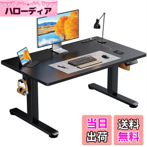 �y���������zErGear �d�� ���~���f�X�N ���[�^�C�v �F�F�u���b�N�A�T�C�Y�F100*60cm