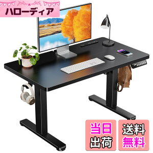 �y���������zErGear �d�� ���~���f�X�N ���[�^�C�v �F�F�u���b�N�A�T�C�Y�F90*50cm