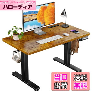 �y���������zErGear �d�� ���~���f�X�N ���[�^�C�v �F�F�r���e�[�W�A�T�C�Y�F90*50cm
