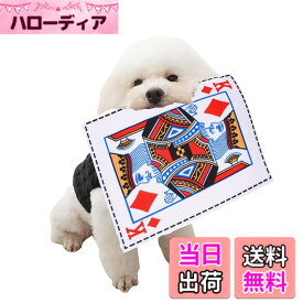 【送料無料】YBGGJO 犬専用新聞おもちゃ 犬 おもちゃ 噛むおもちゃ 知育おもちゃ 音が鳴る 清潔 歯磨き 噛み耐性 水洗いOK ストレス解消 色：C、サイズ：25*18CM