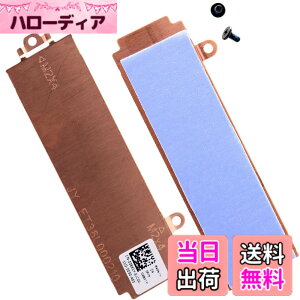 �y���������zDeal4GO �X���b�g2/�X���b�g1 M.2 2280 SSD �q�[�g�V���N�J�o�[ �T�[�}���p�b�h 29GT8 26X1Y 026X1Y Dell G15 5510 5511 5515 Alienware M15 R5 M15 R6�p �F�FM.2 2280�q�[�g�V���N�T�[�}���B