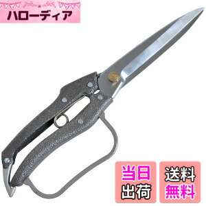 �y���������z�j�V�K�L�H�� �j�V�K�L �v��200 �t���� 5���n N-208 �F�F�V���o�[�A�T�C�Y�F34.04x12.7x2.29cm
