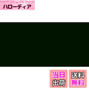 �y���������z�^�[�i�[�F��(Turner Color) �A�N�����K�b�V�� �W�F�b�g�u���b�N AG100009 100ml �F�F�W�F�b�g�u���b�N�A�T�C�Y�FSingle 100 ml Tube