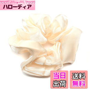 �y���������zQinGoo �V���V�� ��l �I�[�K���W�[ �w�A�S�� ���S�� ��l �w�A�A�N�Z�T���[ ������� �؍� ���f�B�[�X 1�{ �F�FApricot
