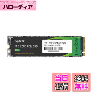 �y���������zApacer �A�y�C�T�[ M.2 SSD �F�F�u���b�N�A�T�C�Y�F512GB