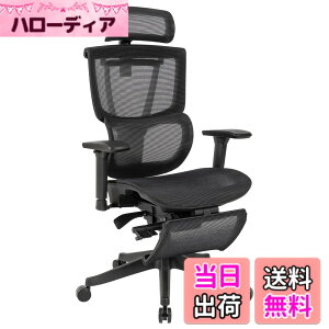 �y���������zFLEXISPOT �I�t�B�X�`�F�A �f�X�N�`�F�A C7 �l�ԍH�w �G���S�m�~�N�X�`�F�A ���b�V���`�F�A �Ɨ��^�����o�[�T�|�[�g ���N���C�j���O�\ �V���N�����b�L���O ���i�K�Œ� �O�X�`��