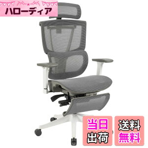 �y���������zFLEXISPOT �I�t�B�X�`�F�A �f�X�N�`�F�A C7 �l�ԍH�w �G���S�m�~�N�X�`�F�A ���b�V���`�F�A �Ɨ��^�����o�[�T�|�[�g ���N���C�j���O�\ �V���N�����b�L���O ���i�K�Œ� �O�X�`��