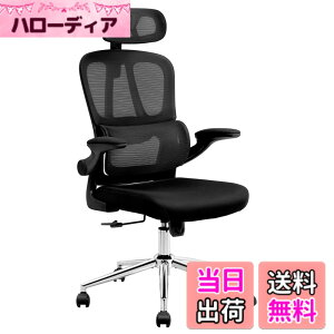 �y���������zFLEXISPOT �I�t�B�X�`�F�A �f�X�N�`�F�A OC6 �l�ԍH�w ���b�V���`�F�A �Ɨ��^�����o�[�T�|�[�g ���b�L���O���� ���яグ���A�[�����X�g 2D�w�b�h���X�g �ݑ�Ζ� ��c�� �I�t�B�X