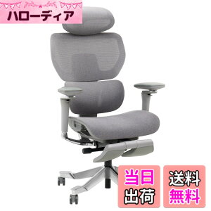 �y���������zFLEXISPOT �I�t�B�X�`�F�A �f�X�N�`�F�A C7 �l�ԍH�w �G���S�m�~�N�X�`�F�A ���b�V���`�F�A �X���C�h�o�b�N�@�\ �O�X�p���ɑΉ� �w������̍������� ��C�������o�[�T�|�[�g �S��