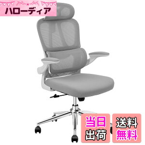 �y���������zFLEXISPOT �I�t�B�X�`�F�A �f�X�N�`�F�A OC6 �l�ԍH�w ���b�V���`�F�A �Ɨ��^�����o�[�T�|�[�g ���b�L���O���� ���яグ���A�[�����X�g 2D�w�b�h���X�g �ݑ�Ζ� ��c�� �I�t�B�X