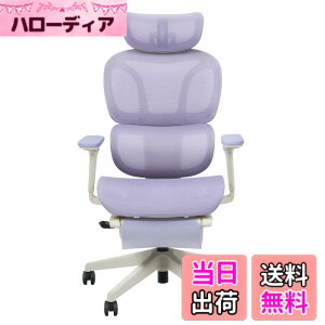 �y���������zFLEXISPOT �I�t�B�X�`�F�A �f�X�N�`�F�A C7 �l�ԍH�w �G���S�m�~�N�X�`�F�A ���b�V���`�F�A �Ɨ��^�����o�[�T�|�[�g ���N���C�j���O�\ �V���N�����b�L���O ���ʉ��s�����\ 2D