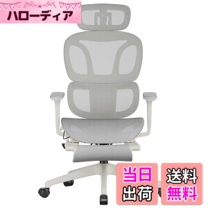 �y���������zFLEXISPOT �I�t�B�X�`�F�A �f�X�N�`�F�A C7 �l�ԍH�w �G���S�m�~�N�X�`�F�A ���b�V���`�F�A �Ɨ��^�����o�[�T�|�[�g ���N���C�j���O�\ �V���N�����b�L���O ���ʉ��s�����\ 2D
