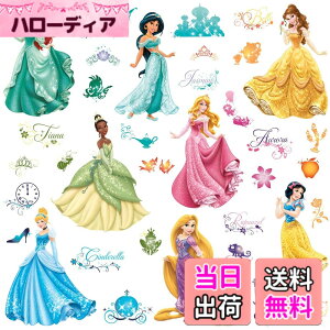 �y���������zRoomMates RMK2199SCS �f�B�Y�j�[ �v�����Z�X ���C���� �f�r���[ �������ē\��E�H�[���f�J�[�� �F�F���C�����f�r���[�A�T�C�Y�F10 inch x 18 inch